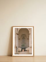 Sacred Olive Tree at the Cathedral — framed, leaning against the wall thumbnail