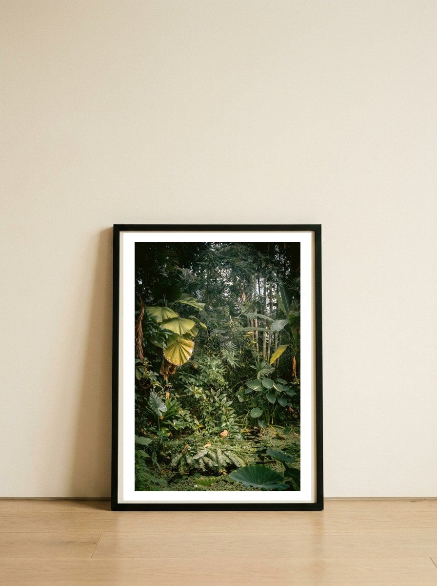 A small jungle in a green house — framed, leaning against the wall