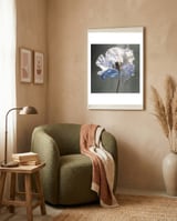 Shirley Poppy | Morning Silk framed in a tender room thumbnail