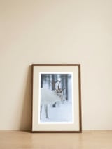 Portrait of a reindeer — framed, leaning against the wall thumbnail