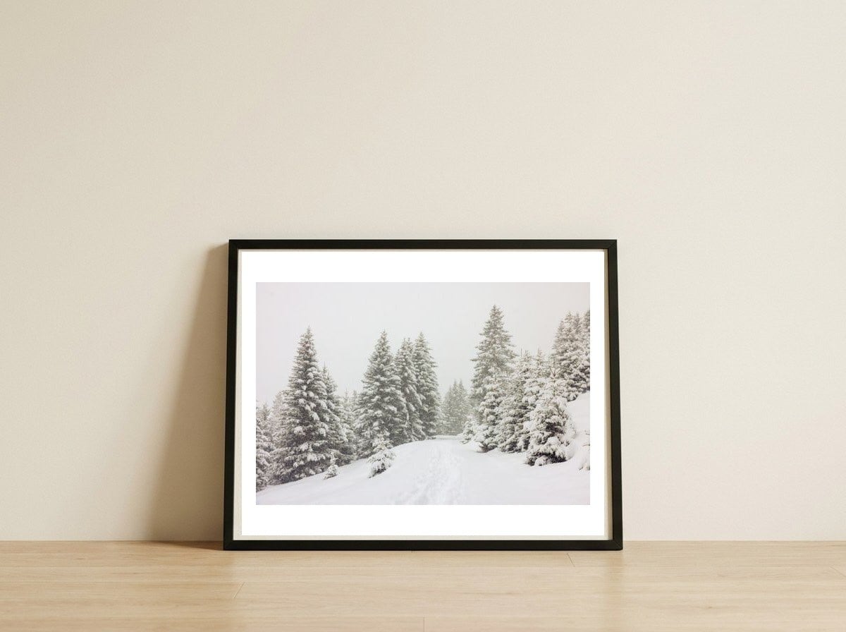 Hike in the snow — framed, leaning against the wall