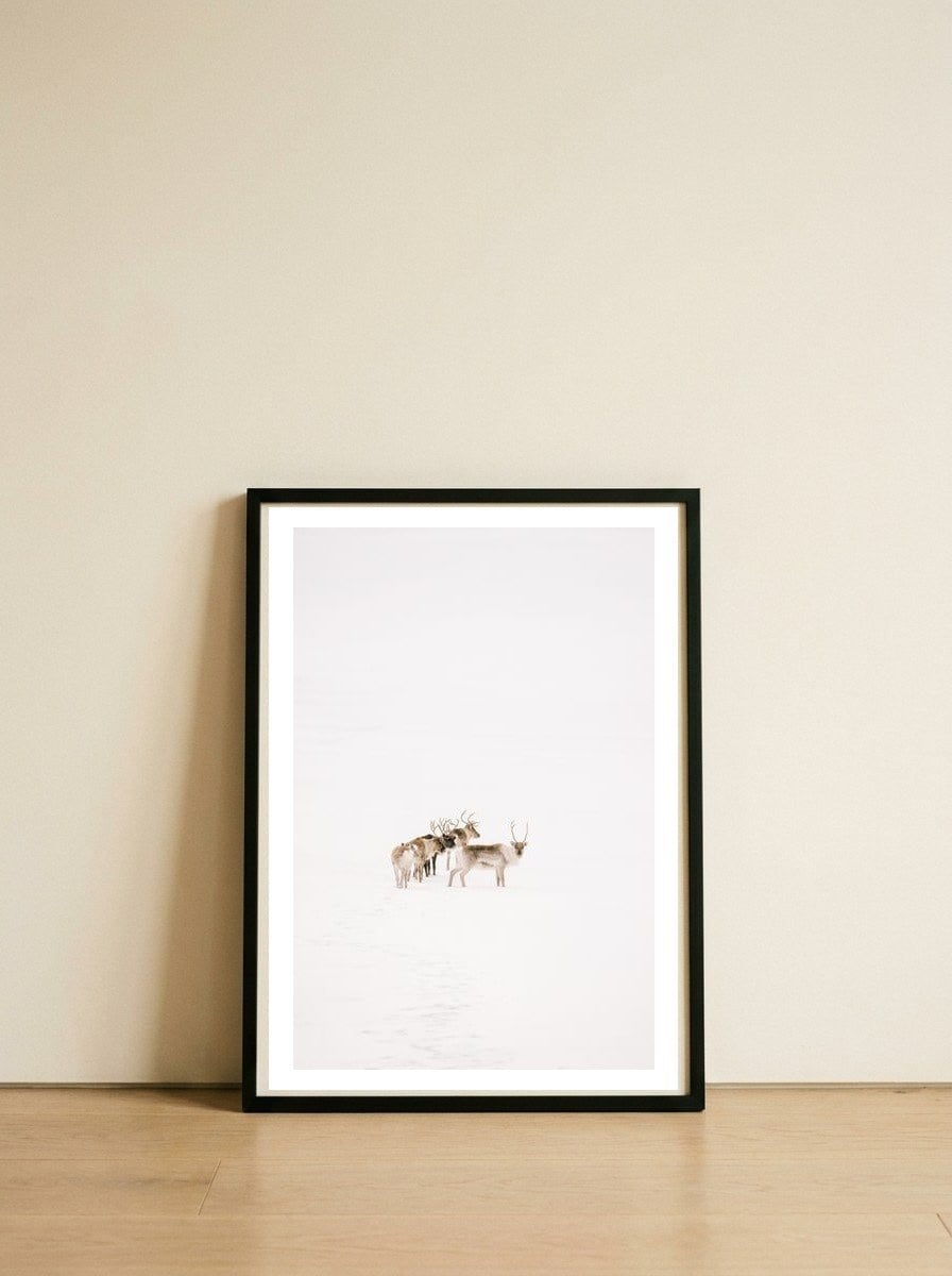 Reindeer in the snow — framed, leaning against the wall