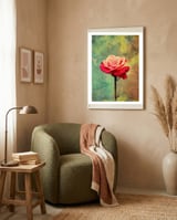 A Vibrant Red Rose  framed in a tender room thumbnail
