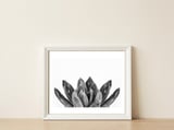 Cactus flower — framed, leaning against the wall thumbnail