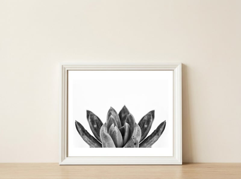 Cactus flower — framed, leaning against the wall