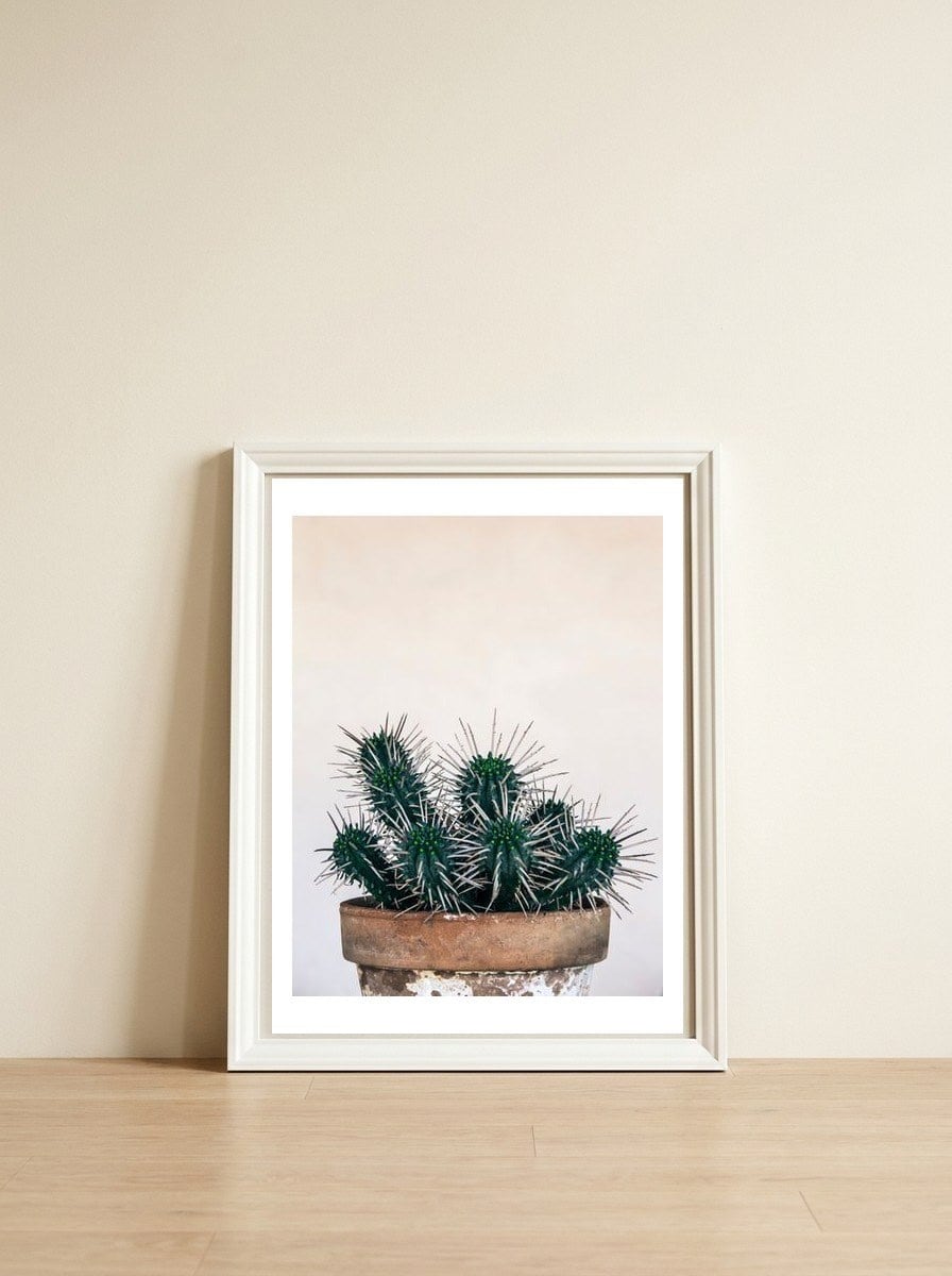 cactus nature XI — framed, leaning against the wall