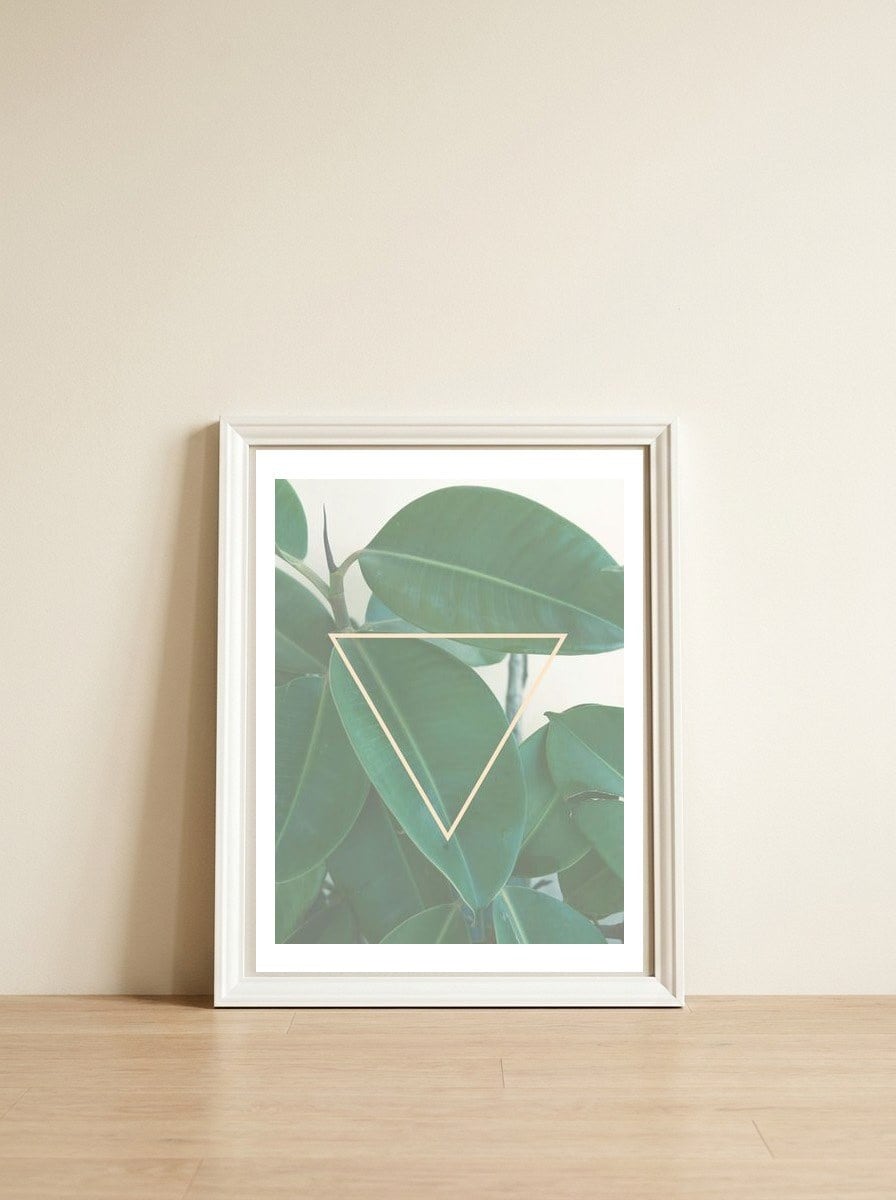 ficus triangle — framed, leaning against the wall