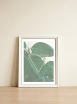 ficus triangle — framed, leaning against the wall thumbnail