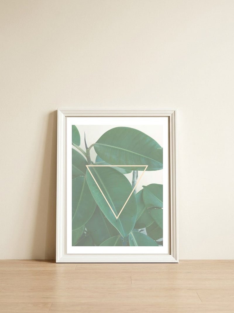 ficus triangle — framed, leaning against the wall
