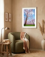Spring in optima forma framed in a tender room thumbnail