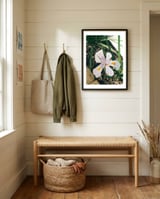 Lily framed in a relaxed room thumbnail