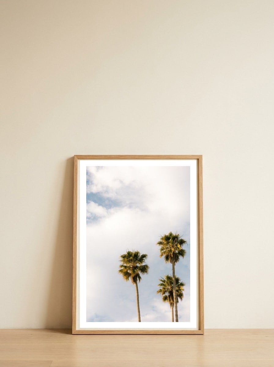 Sunset Palm Trees at California Boulevard — framed, leaning against the wall