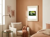Water Lilies framed in a tender room thumbnail