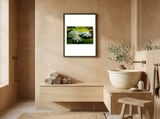 Water Lilies framed in a serene room thumbnail