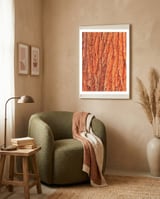 Tree Bark framed in a tender room thumbnail