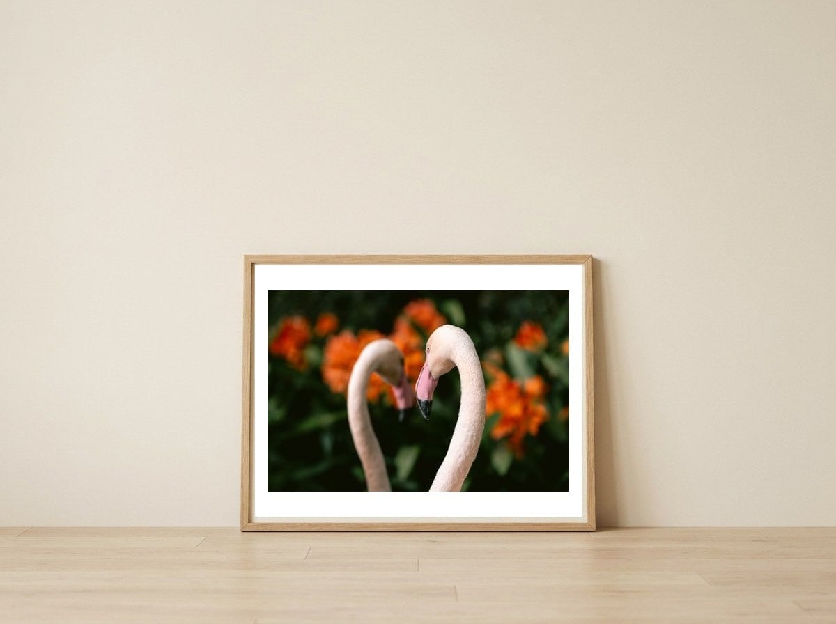 botanische-tuin-9 — framed, leaning against the wall
