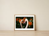 botanische-tuin-9 — framed, leaning against the wall thumbnail