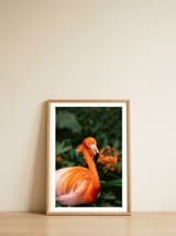 botanische-tuin-12 — framed, leaning against the wall thumbnail
