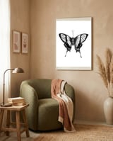 Butterfly Wings framed in a tender room thumbnail
