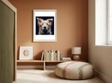 Old Dog 06 framed in a gentle room thumbnail