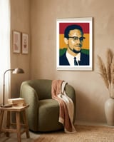 Malcolm X  framed in a tender room thumbnail