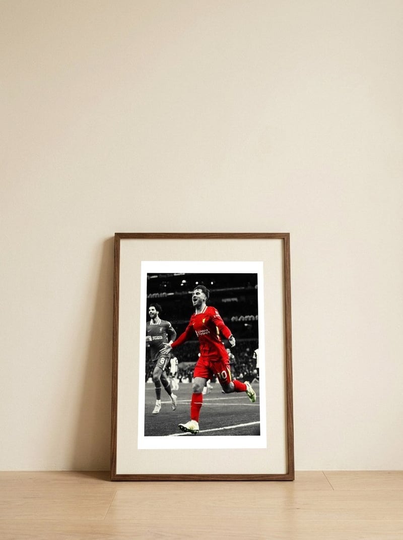 alexis-mac-allister — framed, leaning against the wall
