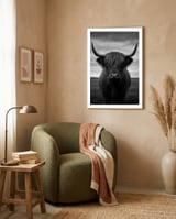 highland-cow-black-and-white framed in a tender room thumbnail