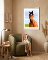 Brown Horse framed in a tender room thumbnail