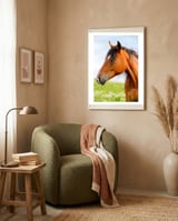Horse Portrait framed in a tender room thumbnail