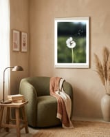 Dandelion Wish Photography framed in a tender room thumbnail