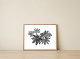 Leaves — framed, leaning against the wall thumbnail