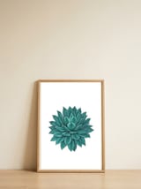 Agave  — framed, leaning against the wall thumbnail