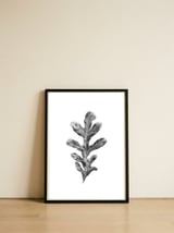 Leaf — framed, leaning against the wall thumbnail