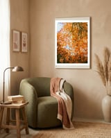 Autumn Leaves framed in a tender room thumbnail