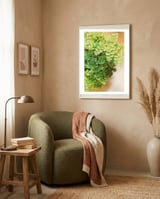 Maidenhair Queen framed in a tender room thumbnail