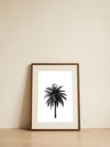 Palm Tree — framed, leaning against the wall thumbnail