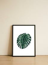 Monstera — framed, leaning against the wall thumbnail