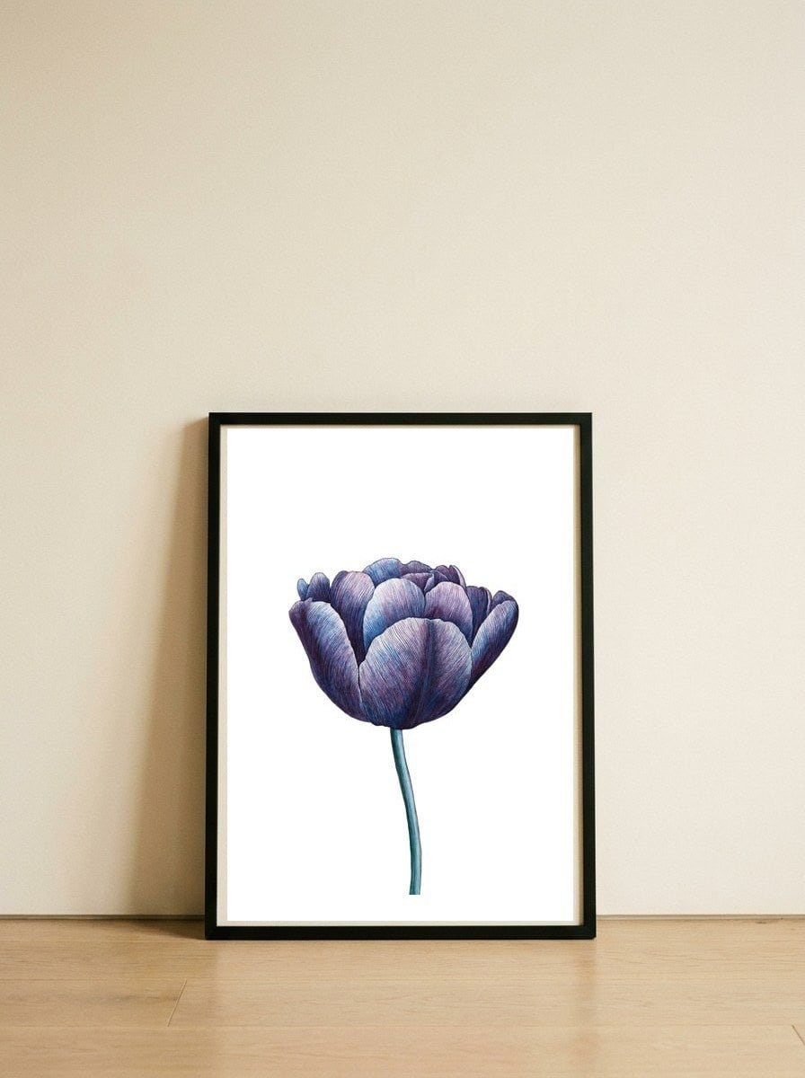 Tulip Flower  — framed, leaning against the wall
