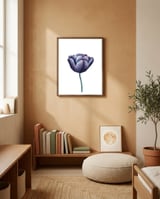Tulip Flower  framed in a gentle room thumbnail