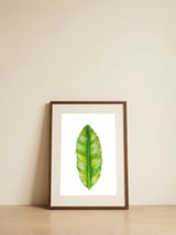 Banana Leaf — framed, leaning against the wall thumbnail