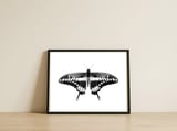 Butterfly — framed, leaning against the wall thumbnail