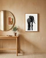 Elephant framed in a focused room thumbnail