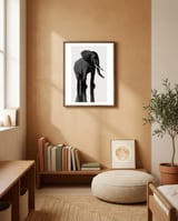 Elephant framed in a gentle room thumbnail