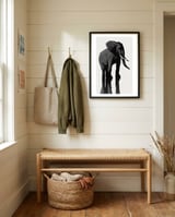 Elephant framed in a relaxed room thumbnail