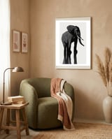 Elephant framed in a tender room thumbnail