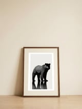 Bear  — framed, leaning against the wall thumbnail