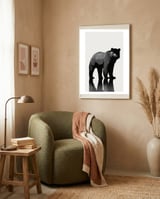 Bear  framed in a tender room thumbnail