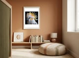 Beautiful Cockatoo Parrot Portrait Headshot framed in a gentle room thumbnail