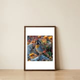 bird-perched-on-a-rock-with-flowers-1 — framed, leaning against the wall thumbnail