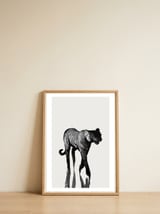 Tiger  — framed, leaning against the wall thumbnail